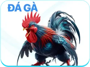 da-ga